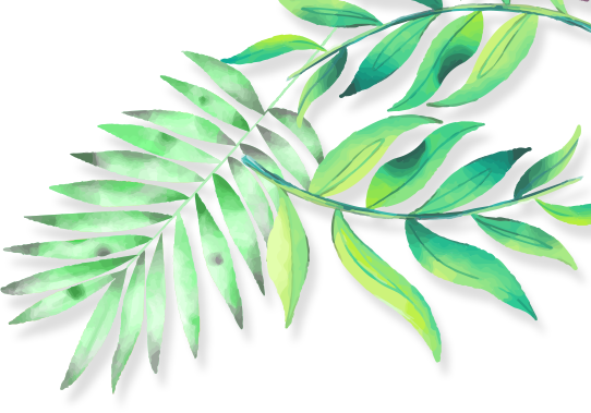 木